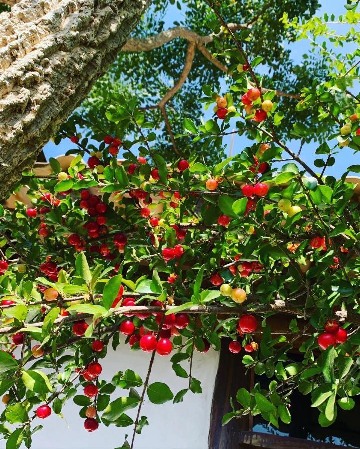 Pousada Villa Cachoeira Carrancas Zewnętrze zdjęcie